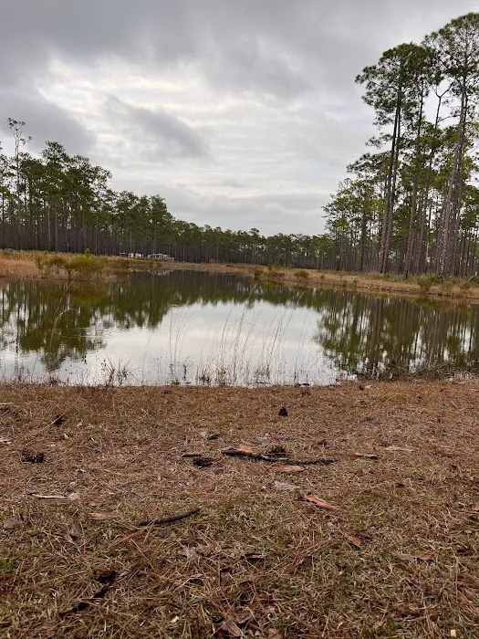 Cliff Lake Hunt Camp Picture 7