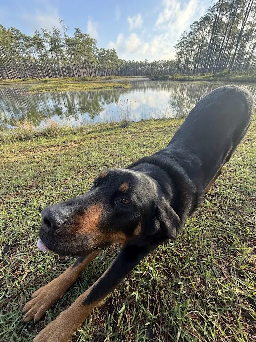 Cliff Lake Hunt Camp Picture 4