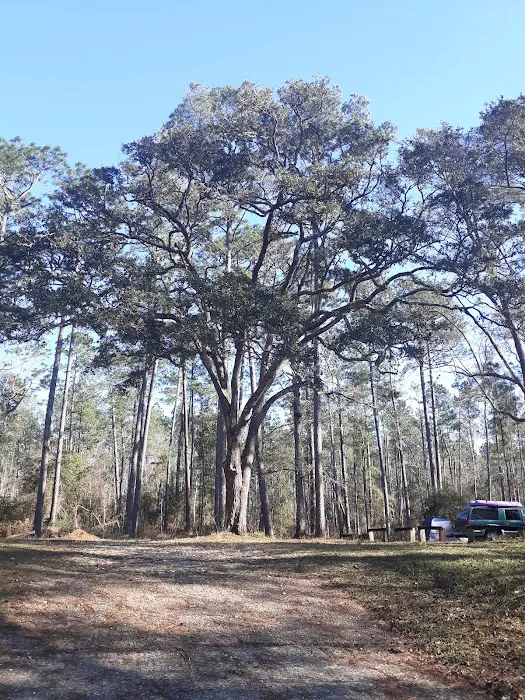 Cotton Landing Picture 7