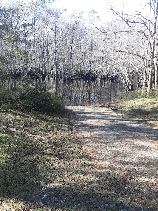 Cotton Landing Picture 8