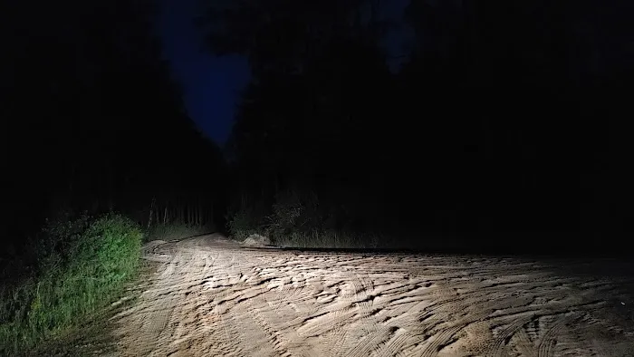 Cotton Landing Picture 4