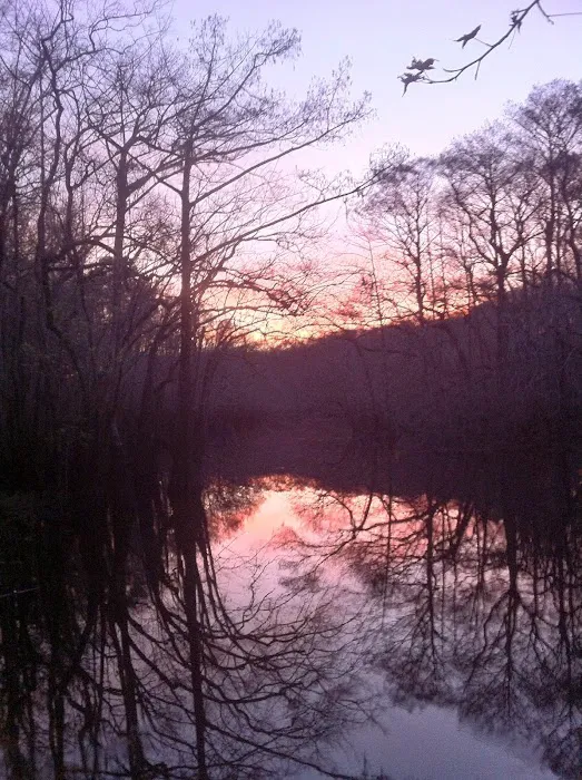 Cotton Landing Picture 5