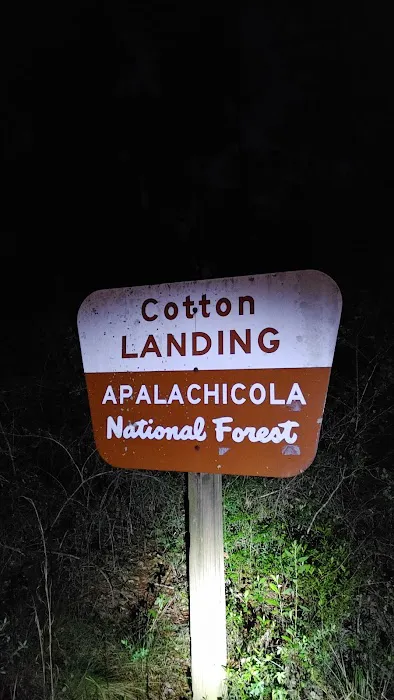 Cotton Landing Picture 2