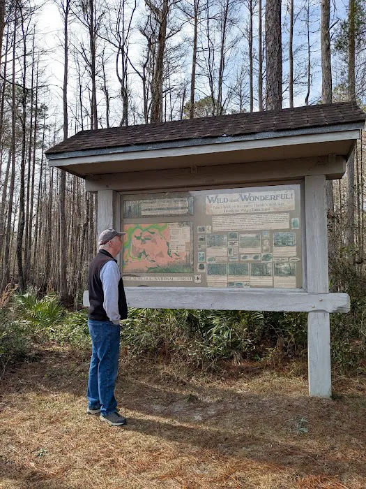 Wright Lake Picture 10