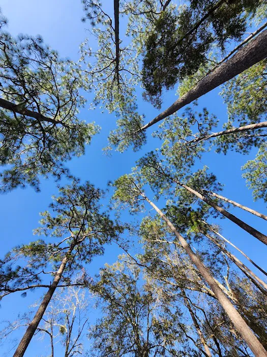 Wright Lake Picture 8