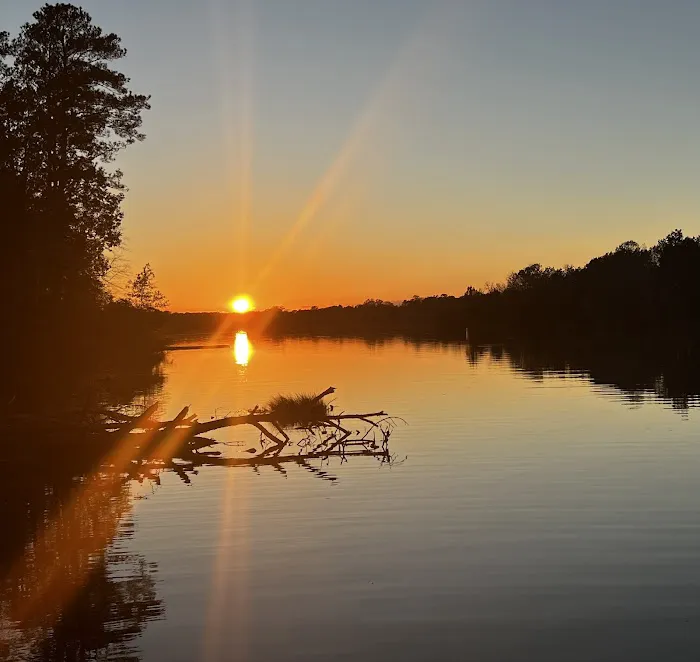Millers Ferry Campground Picture 1