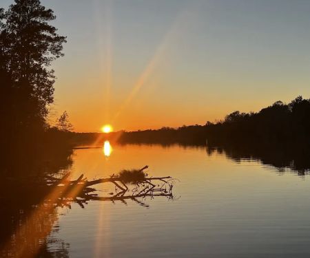 Millers Ferry Campground