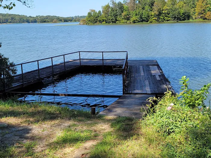 Millers Ferry Campground Picture 4