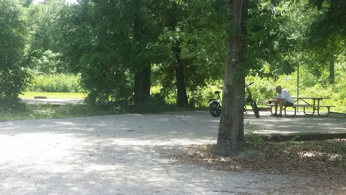 Millers Ferry Campground Picture 2