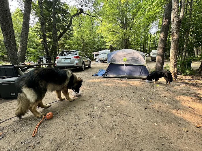 Otter Lake Campground Picture 9