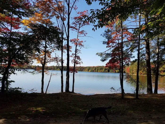 Colwell Lake Campground Picture 5