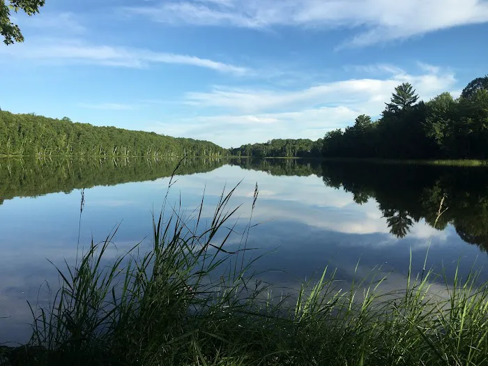 Big Island Lake Wilderness Picture 3