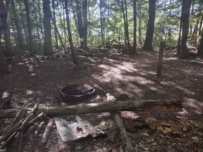 Big Island Lake Wilderness Picture 1