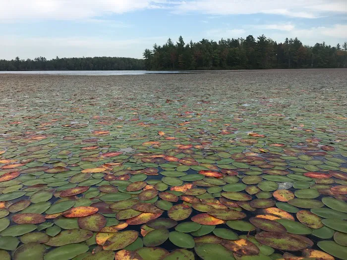 Big Island Lake Wilderness Picture 7