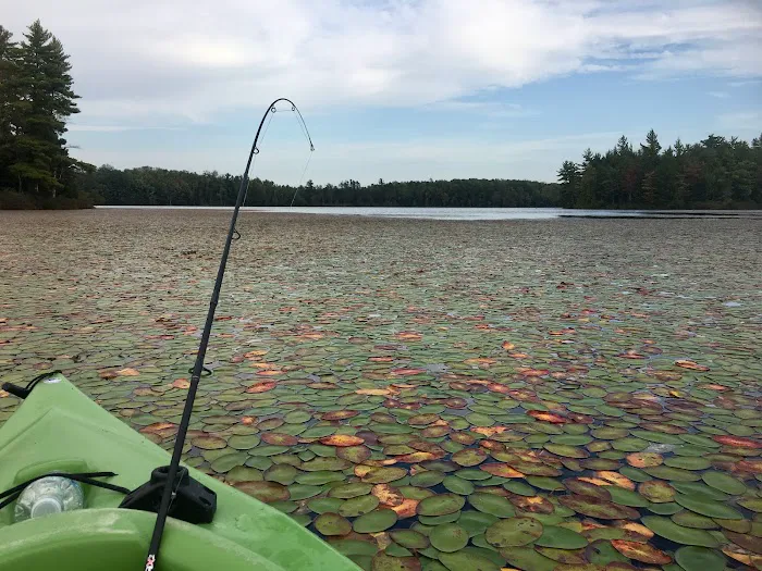 Big Island Lake Wilderness Picture 8