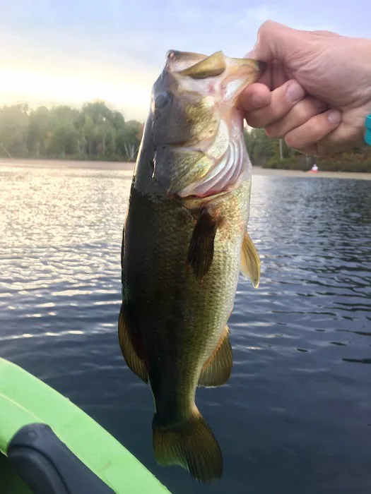 Big Island Lake Wilderness Picture 6