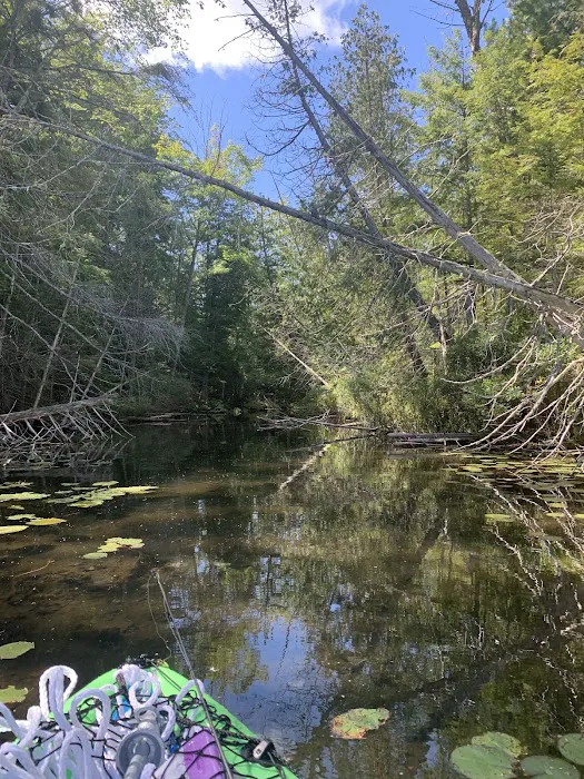 Bass Lake dispersed campsite Picture 2