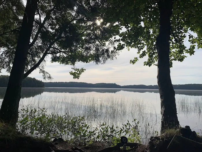 Bass Lake dispersed campsite Picture 4