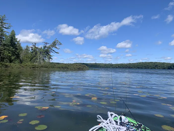 Bass Lake dispersed campsite Picture 3