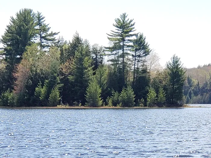 Little Bass Lake Campground Picture 4