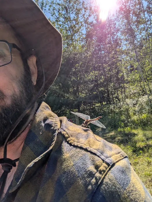 Cookson Lake Dispersed Campsite Picture 10