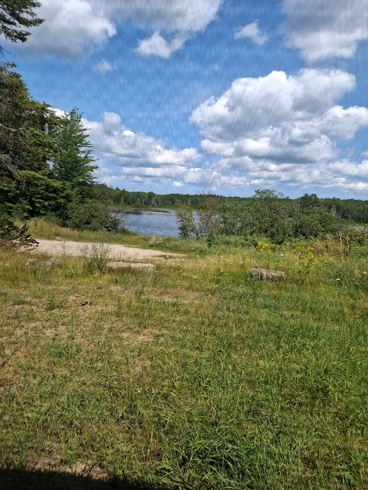 Cookson Lake Dispersed Campsite Picture 8