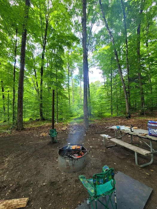 Pete's Lake Campground Picture 8