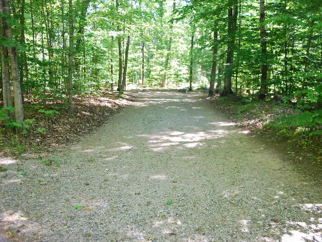 Pete's Lake Campground Picture 5