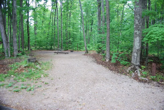 Pete's Lake Campground Picture 4