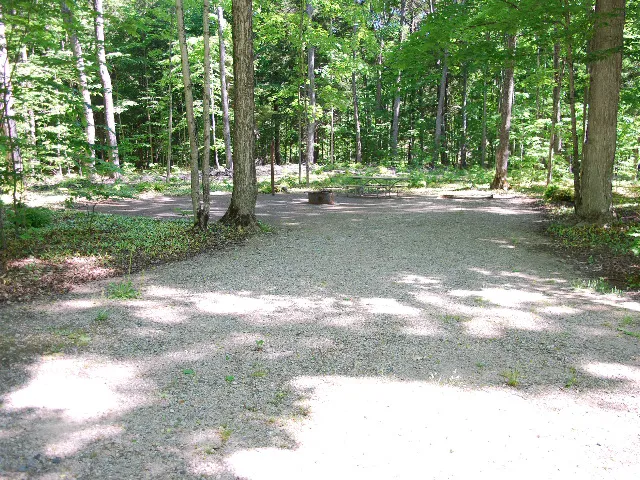 Pete's Lake Campground Picture 3