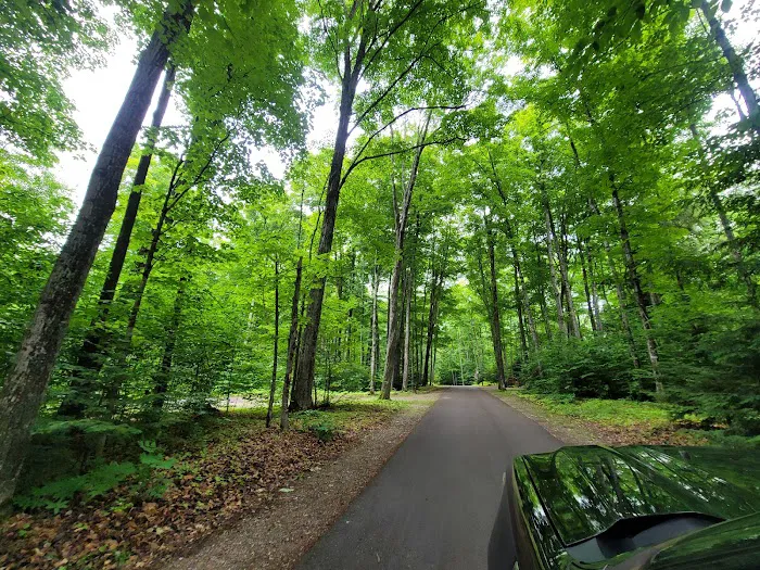 Pete's Lake Campground Picture 6