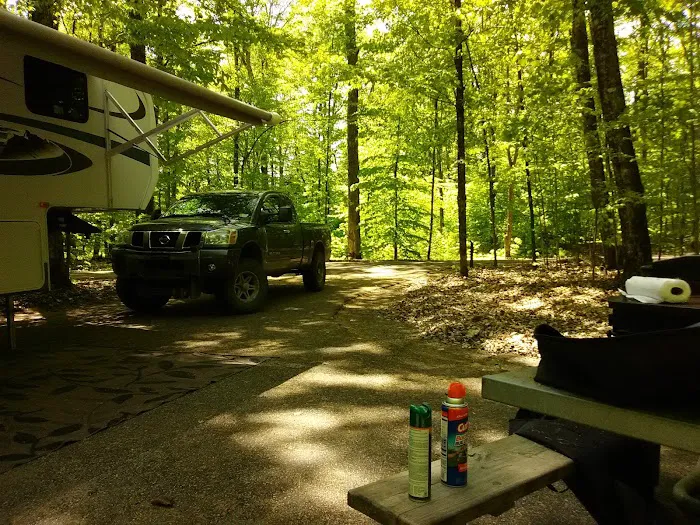 Pete's Lake Campground Picture 10