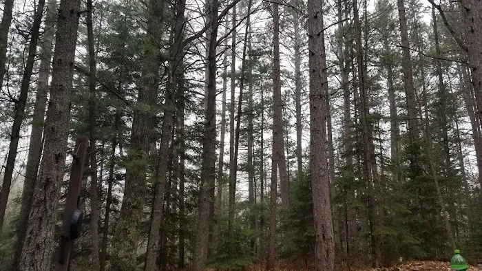 Indian River Campground Picture 10