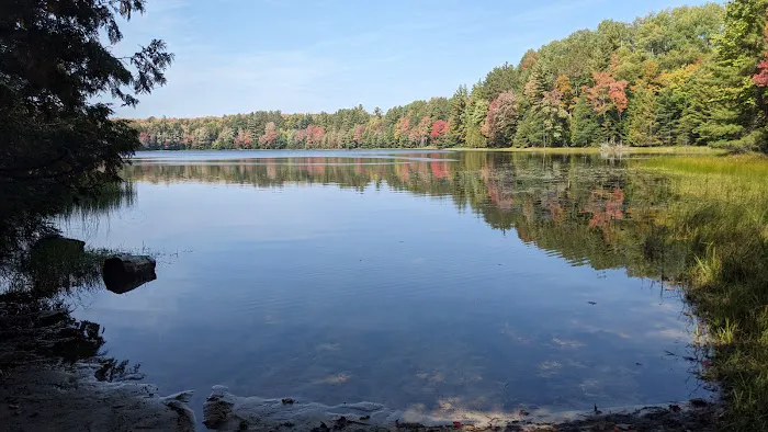 Lake Nineteen Dispersed Campsite Picture 1