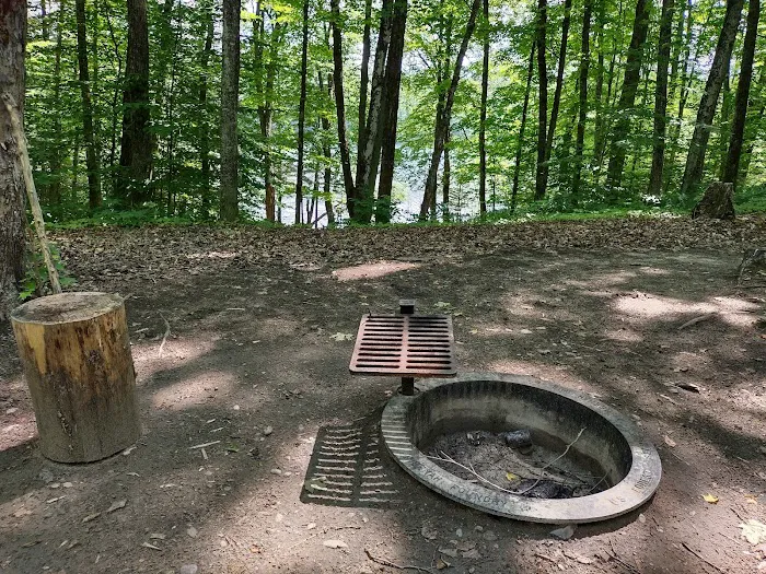 Lake Nineteen Dispersed Campsite Picture 9