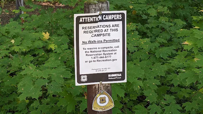 Lake Nineteen Dispersed Campsite Picture 7