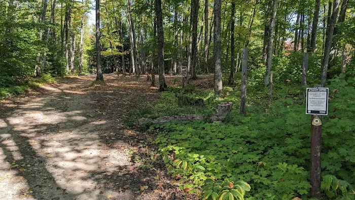 Lake Nineteen Dispersed Campsite Picture 6