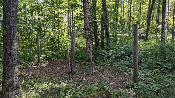 Lake Nineteen Dispersed Campsite Picture 8