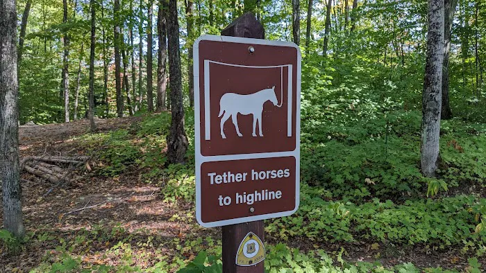 Lake Nineteen Dispersed Campsite Picture 3