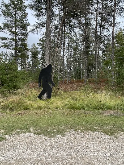 Jack Pine Lodge and Campground Picture 10
