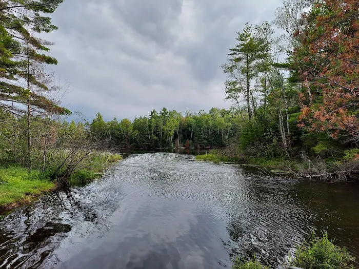 Widewaters Campground Picture 4