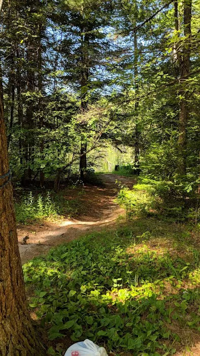 Widewaters Campground Picture 7