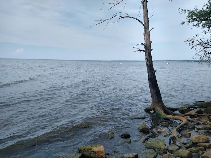 Bay Shore Campground Picture 2