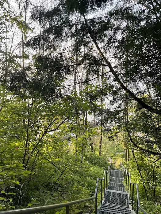 Bay Shore Campground Picture 4