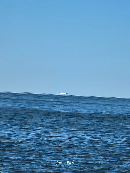 Bay Shore Campground Picture 9