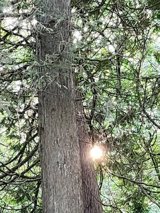 Big Lake Campground Picture 7