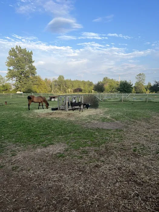 Timber Trail Campground Picture 5