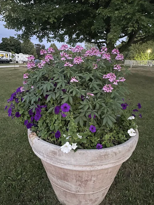 Ahnapee Shores Camping Resort Picture 2