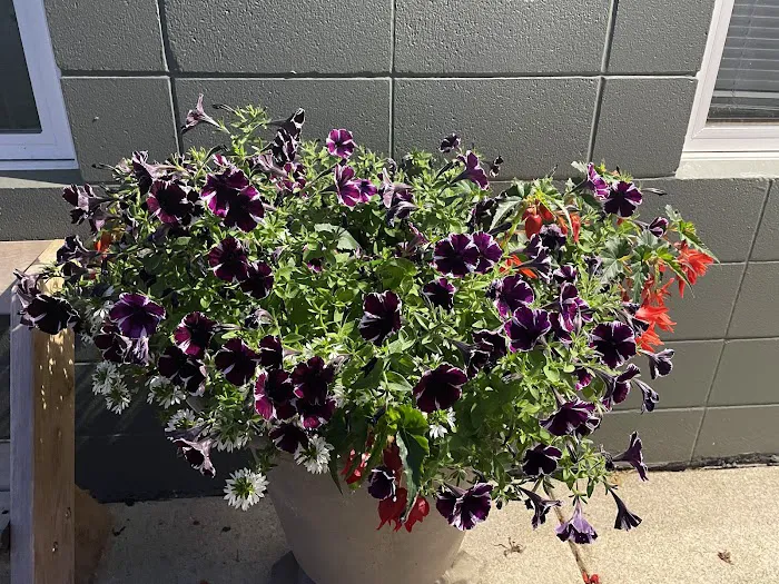 Ahnapee Shores Camping Resort Picture 4