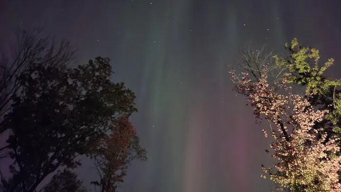 Brown County Reforestation Camp Campground Picture 6